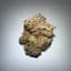 Animal Tsunami Buds 3.50 Gram