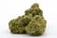 Maui Wowie 2.0 Buds 3.50 Gram