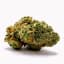 Lime Gelato Buds 14 Gram