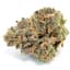 Apples & Bananas Buds 3.50 Gram