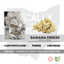 Banana Freeze Buds 2.83 Gram
