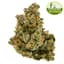 Walkabout Buds 7 Gram