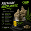 Kush Mints Buds 3.50 Gram