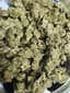 Lemonade Buds 28 Gram