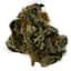 Zushi Buds 28 Gram