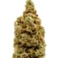 Donny Burger Buds 14 Gram
