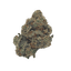 Zoap Buds 28 Gram