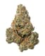 Funk Mountain 3.50 Gram Flower Buds