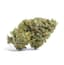Fight Club 4 Gram Flower Flower (unspecified)