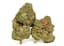 Pennywise Buds 3.50 Gram
