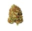 Tropicana Cookies Buds 7 Gram