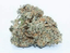 Goddess Buds 7 Gram