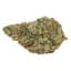 Grapefruit Buds 7 Gram