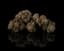 Animal Mints Buds 8 Gram