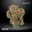 Grape Gas Buds 14 Gram