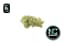Banana Smuggler Buds 3.50 Gram