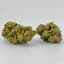 Blueberry Muffin Buds 1 Gram