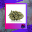 Chronic Buds 3.50 Gram