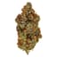 Strawberry 3.50 Gram Flower Buds
