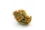 Cactus Breath Buds 14 Gram