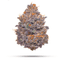 Cherrylicious Buds 3.50 Gram