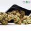 La Beatnik Buds 7 Gram