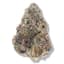 Runtz Buds 7 Gram