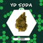 Yoda Soda Buds 14 Gram
