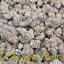 Pineapple Burst Buds 3.50 Gram