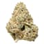 Animal Cookies Buds 28 Gram