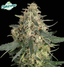 Hazy Fields Buds 3.50 Gram