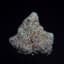 Zsunami Buds 14 Gram
