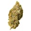 Orange Bud Buds 7 Gram