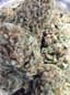 Queen's Sangria Buds 14 Gram