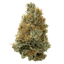 Island Breeze Buds 7 Gram