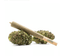 Lychee 1 Pack Pre Rolls 1 Gram