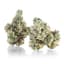 Blue Magic Buds 14 Gram