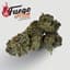Fuego Punch Buds 14 Gram