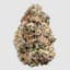 Rainbow Marker Buds 5.66 Gram