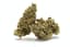 Jealousy Buds 3.50 Gram