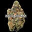 Mango Buds 3.50 Gram