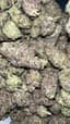 Wild Card Buds 1 Gram