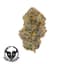 Soap Buds 1 Gram