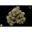 Tko Buds 3.50 Gram