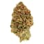 Tea Time Buds 28 Gram