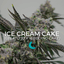 Ice Cream Cake 4 Gram Flower