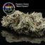 Kush Mints Buds 3.50 Gram