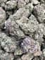 Gush Mints Buds 3.50 Gram