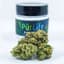 Critical Glue Buds 14 Gram