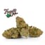 Permanent Chimera Buds 3.50 Gram